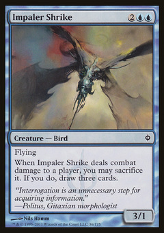 Impaler Shrike